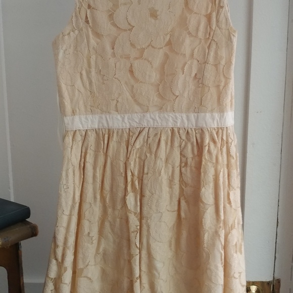 Lace dress - Picture 3 of 5